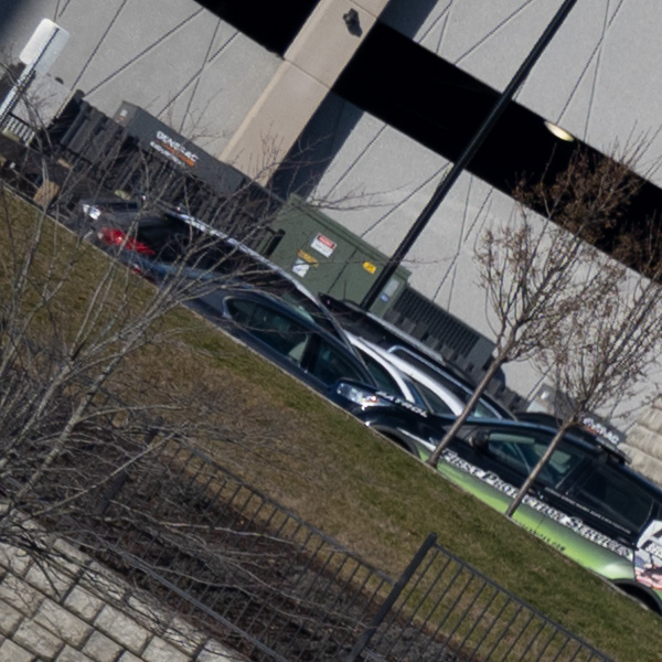 Nikon Z 70-200mm f/2.8 S VR Nikkor Review: Field Test -- Gallery Image