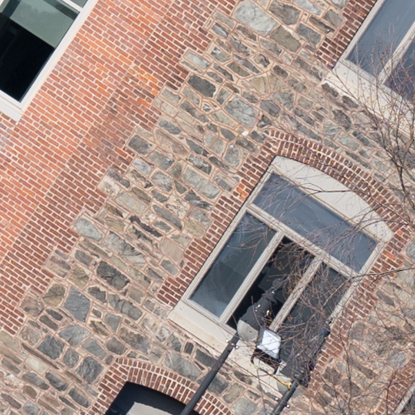 Nikon Z 70-200mm f/2.8 S VR Nikkor Review: Field Test -- Gallery Image