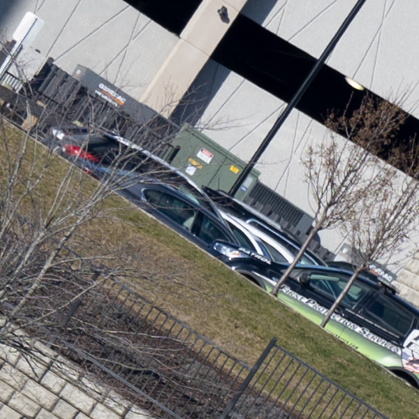 Nikon Z 70-200mm f/2.8 S VR Nikkor Review: Field Test -- Gallery Image