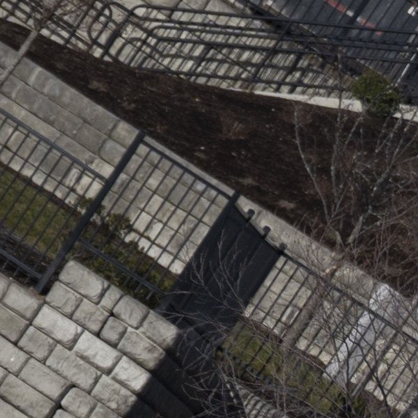 Nikon Z 70-200mm f/2.8 S VR Nikkor Review: Field Test -- Gallery Image