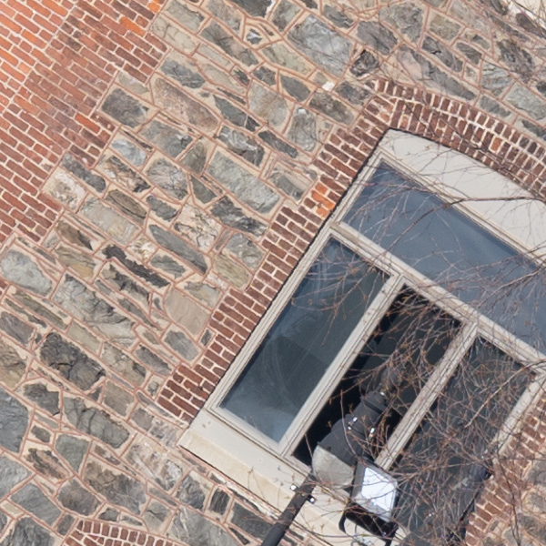 Nikon Z 70-200mm f/2.8 S VR Nikkor Review: Field Test -- Gallery Image