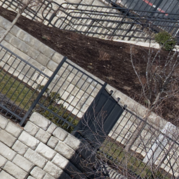 Nikon Z 70-200mm f/2.8 S VR Nikkor Review: Field Test -- Gallery Image