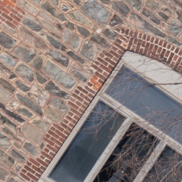 Nikon Z 70-200mm f/2.8 S VR Nikkor Review: Field Test -- Gallery Image