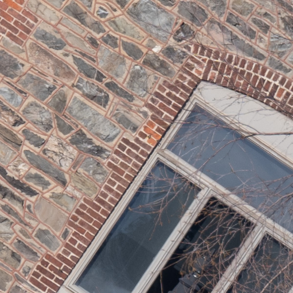 Nikon Z 70-200mm f/2.8 S VR Nikkor Review: Field Test -- Gallery Image