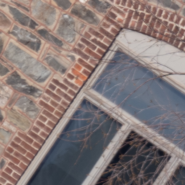 Nikon Z 70-200mm f/2.8 S VR Nikkor Review: Field Test -- Gallery Image