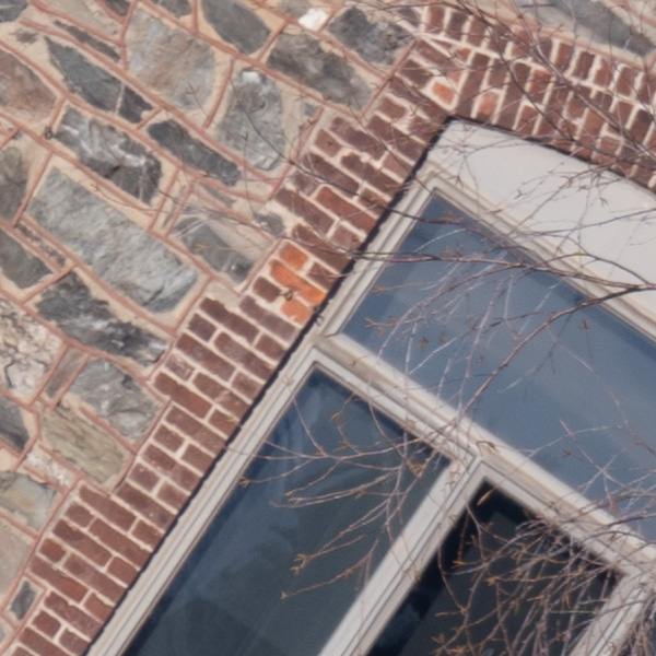 Nikon Z 70-200mm f/2.8 S VR Nikkor Review: Field Test -- Gallery Image