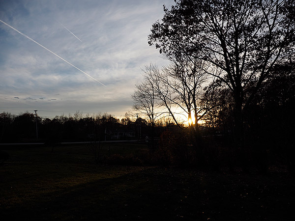 Olympus 12-100mm f/4 IS Pro Review: Field Test -- Gallery Image