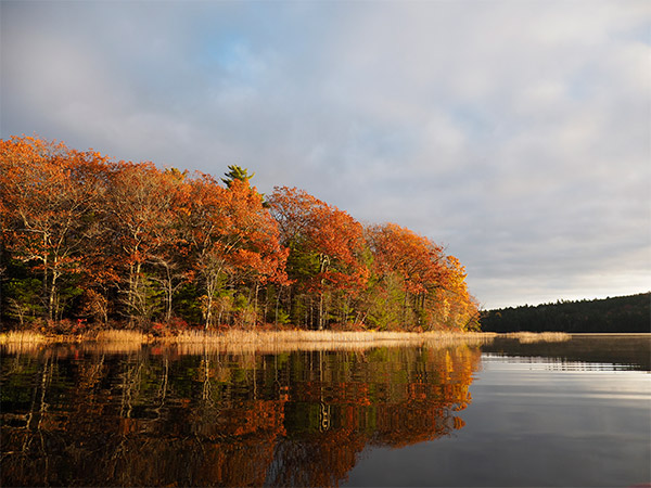 Olympus 12-100mm f/4 IS Pro Review: Field Test -- Gallery Image