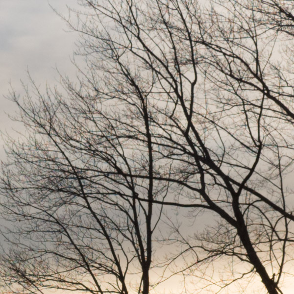 Olympus 12-100mm f/4 IS Pro Review: Field Test -- Gallery Image