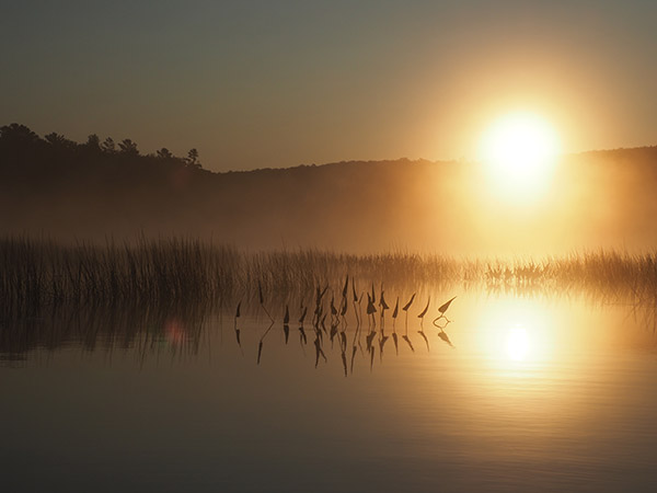 Olympus 12-200mm f/3.5-6.3 M.Zuiko Digital ED Review: Field Test -- Gallery Image