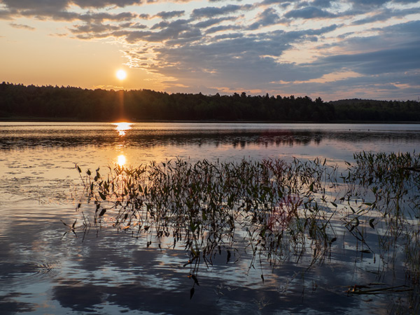 Olympus 12-200mm f/3.5-6.3 M.Zuiko Digital ED Review: Field Test -- Gallery Image