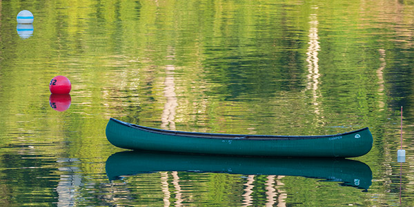 Olympus 12-200mm f/3.5-6.3 M.Zuiko Digital ED Review: Field Test -- Gallery Image