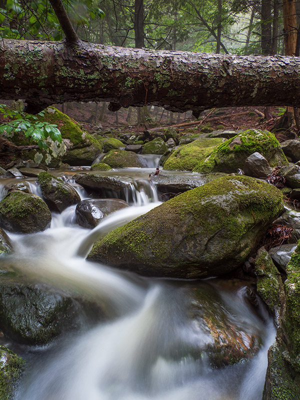 Olympus 12-200mm f/3.5-6.3 M.Zuiko Digital ED Review: Field Test -- Gallery Image