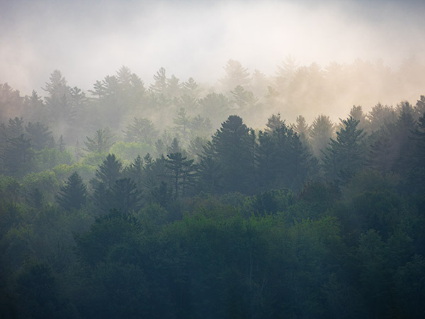 Olympus 12-200mm f/3.5-6.3 M.Zuiko Digital ED Review: Field Test -- Gallery Image