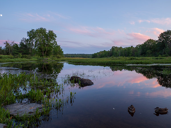 Olympus 12-200mm f/3.5-6.3 M.Zuiko Digital ED Review: Field Test -- Gallery Image