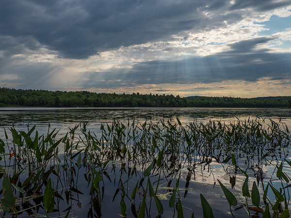 Olympus 12-200mm f/3.5-6.3 M.Zuiko Digital ED Review: Field Test -- Gallery Image