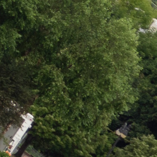 Olympus 12-200mm f/3.5-6.3 M.Zuiko Digital ED Review: Field Test -- Gallery Image