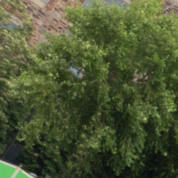 Olympus 12-200mm f/3.5-6.3 M.Zuiko Digital ED Review: Field Test -- Gallery Image