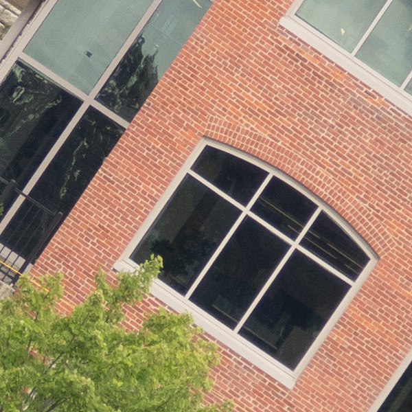 Olympus 12-200mm f/3.5-6.3 M.Zuiko Digital ED Review: Field Test -- Gallery Image