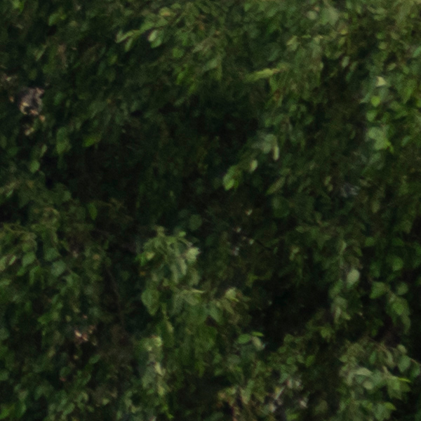 Olympus 12-200mm f/3.5-6.3 M.Zuiko Digital ED Review: Field Test -- Gallery Image