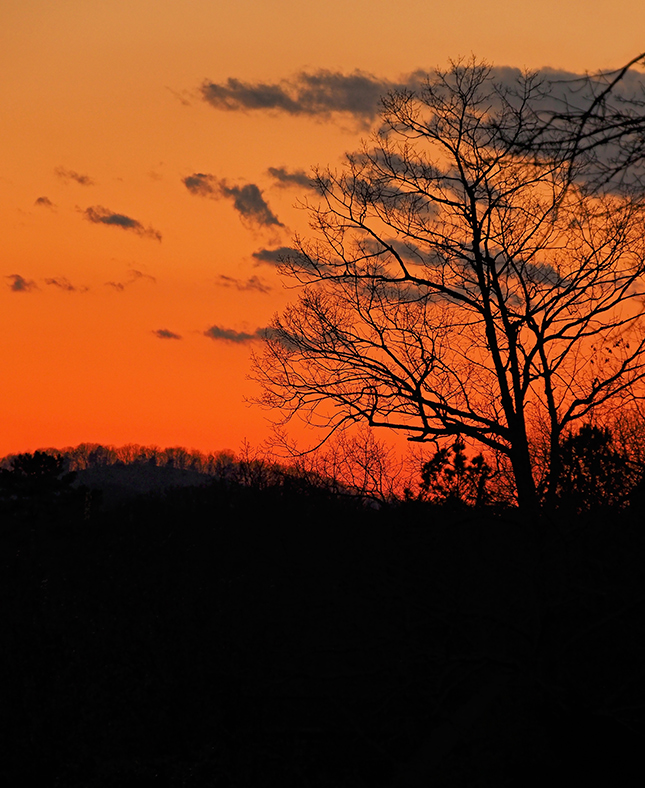 Olympus 12-200mm Sample Image