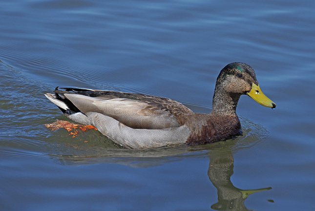 Olympus 12-200mm Sample Image