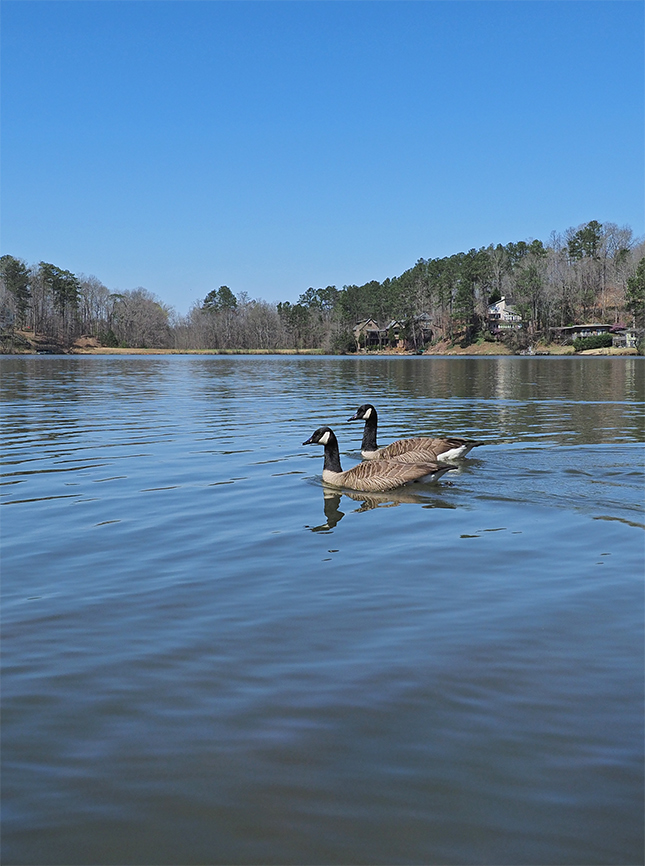 Olympus 12-200mm Sample Image