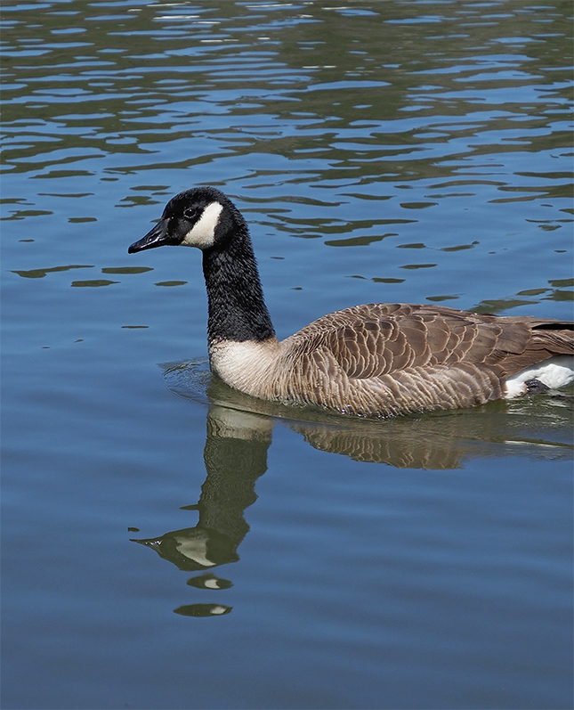 Olympus 12-200mm Sample Image