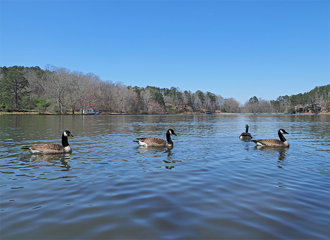 Olympus 12-200mm Sample Image