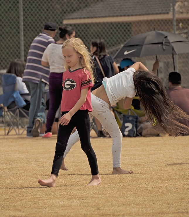 Olympus 12-200mm Sample Image