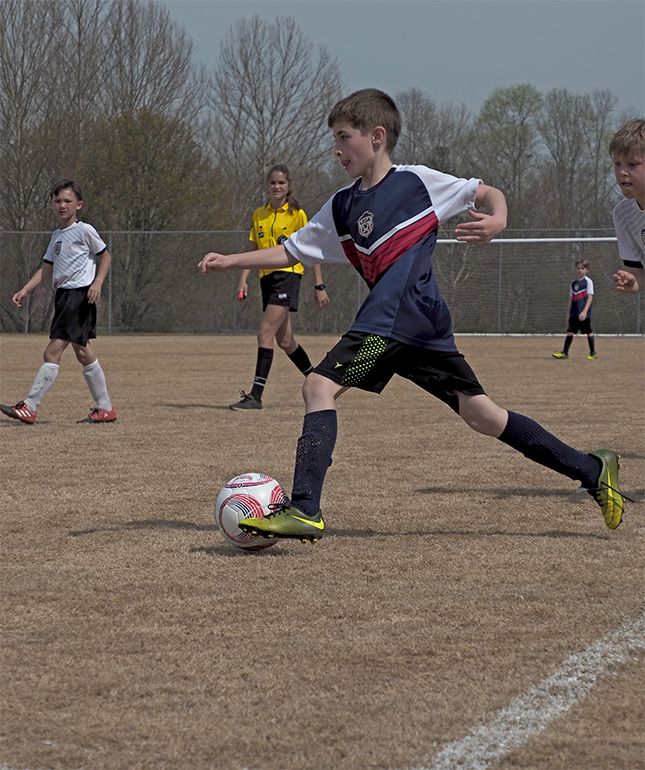 Olympus 12-200mm Sample Image