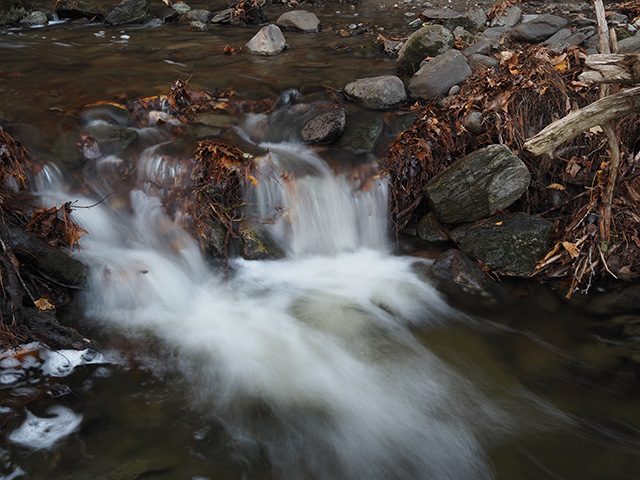 OM System M.Zuiko 20mm f/1.4 PRO Review -- Gallery Image