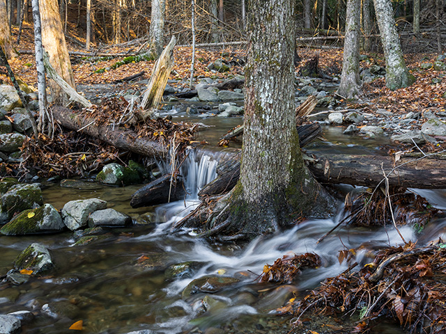 OM System M.Zuiko 20mm f/1.4 PRO Review -- Gallery Image
