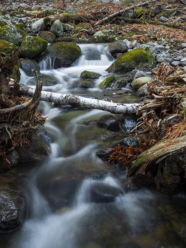 OM System M.Zuiko 20mm f/1.4 PRO Review -- Gallery Image