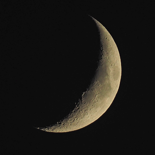 Olympus E-M1 II + 300mm f/4 - Sample Image