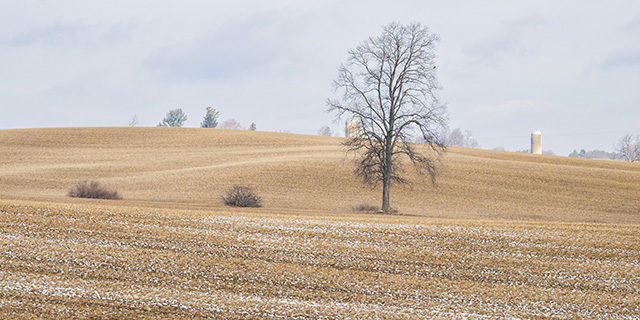 OM System 40-150mm F4 PRO M.Zuiko Review -- Gallery Image