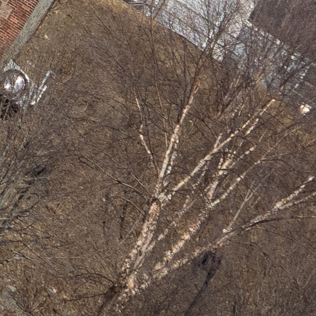 OM System 40-150mm F4 PRO M.Zuiko Review -- Gallery Image