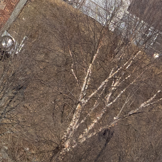 OM System 40-150mm F4 PRO M.Zuiko Review -- Gallery Image