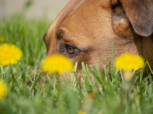 OM System 40-150mm F4 PRO M.Zuiko Review -- Gallery Image