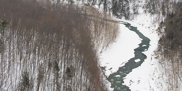 OM System 40-150mm F4 PRO M.Zuiko Review -- Gallery Image