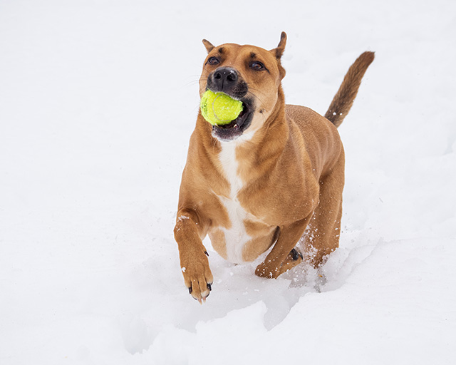 OM System 40-150mm F4 PRO M.Zuiko Review -- Gallery Image