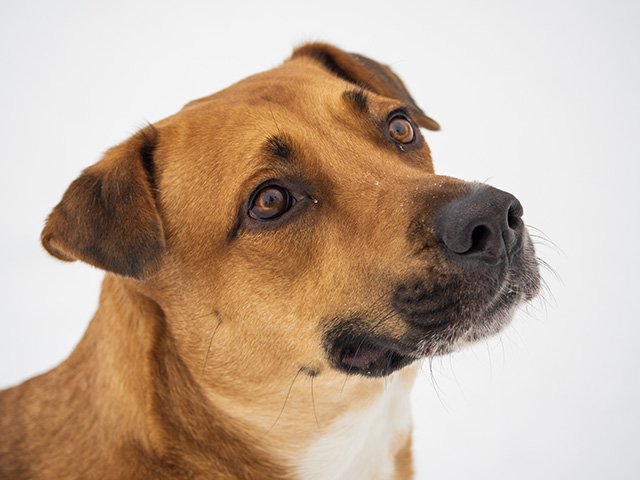 OM System 40-150mm F4 PRO M.Zuiko Review -- Gallery Image