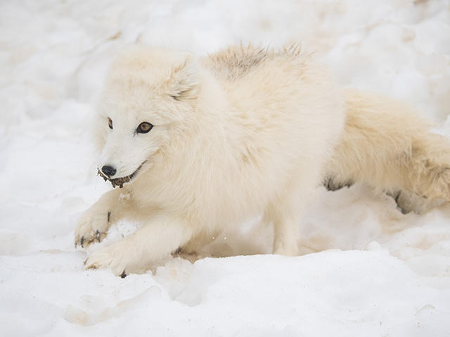 OM System 40-150mm F4 PRO M.Zuiko Review -- Gallery Image