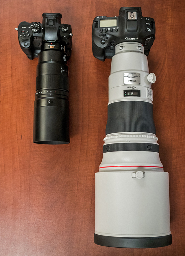 Panasonic 200mm f/2.8 - Sample Image