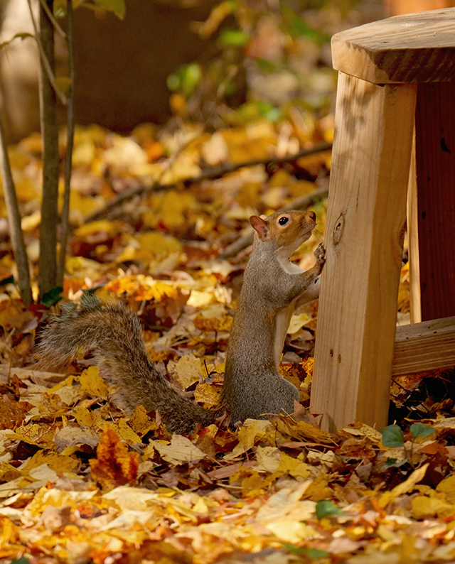 Panasonic 200mm f/2.8 - Sample Image