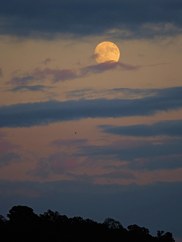 Panasonic 200mm f/2.8 - Sample Image