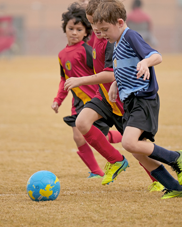 Panasonic 200mm f/2.8 - Sample Image