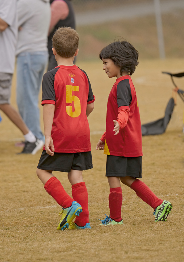 Panasonic 200mm f/2.8 - Sample Image