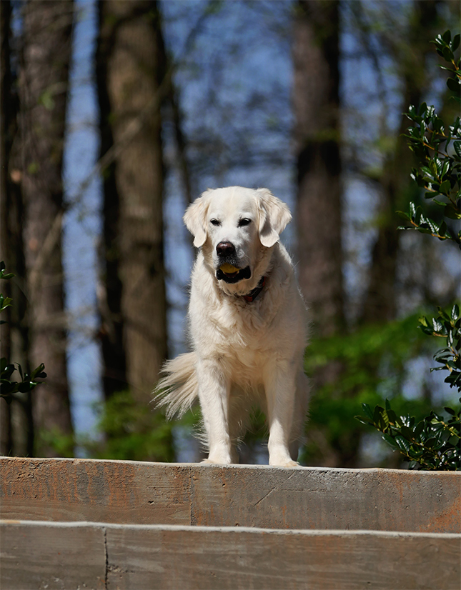 Panasonic 50-200mm - Sample Image