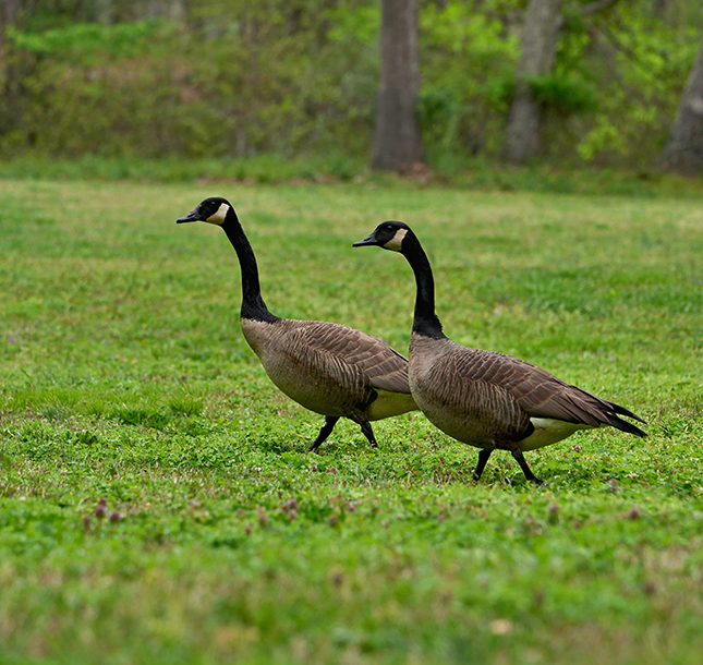 Panasonic 50-200mm - Sample Image